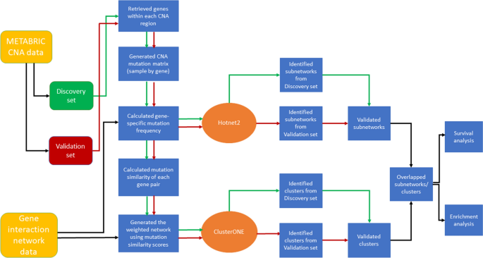 Detail Mutation Mind Map Nomer 4