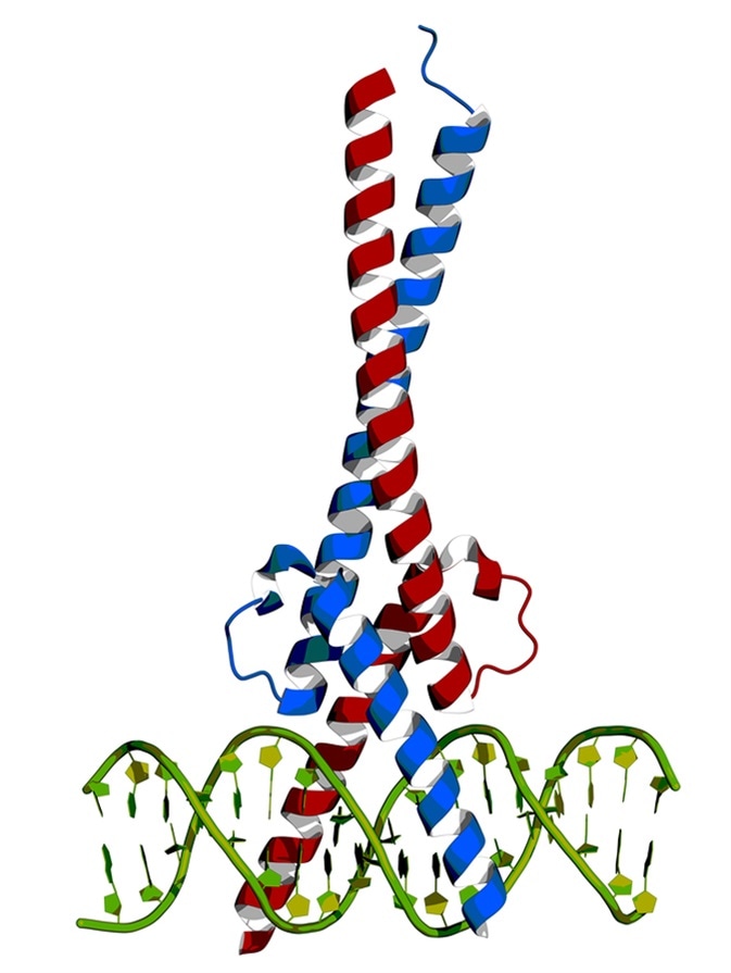 Detail Mutation Mind Map Nomer 6