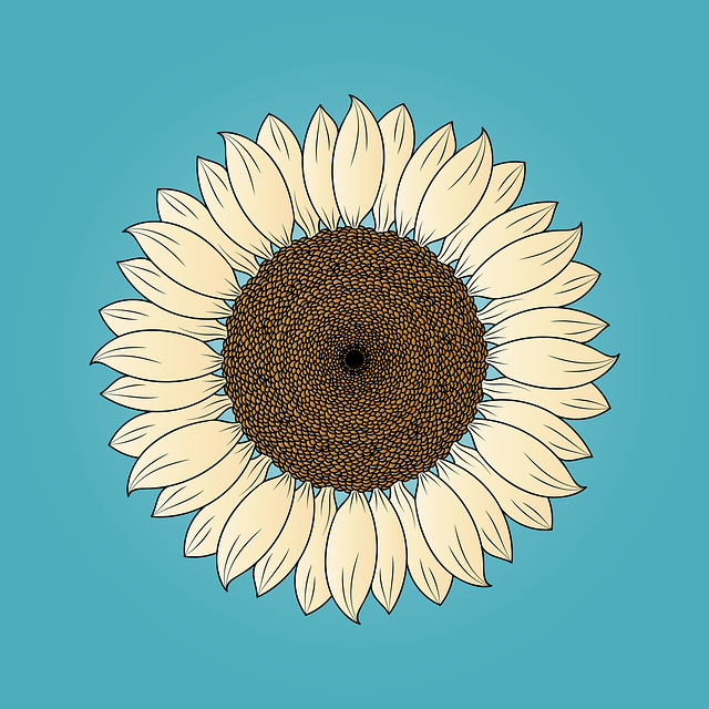 Detail Gambar Aesthetic Bunga Matahari Nomer 44