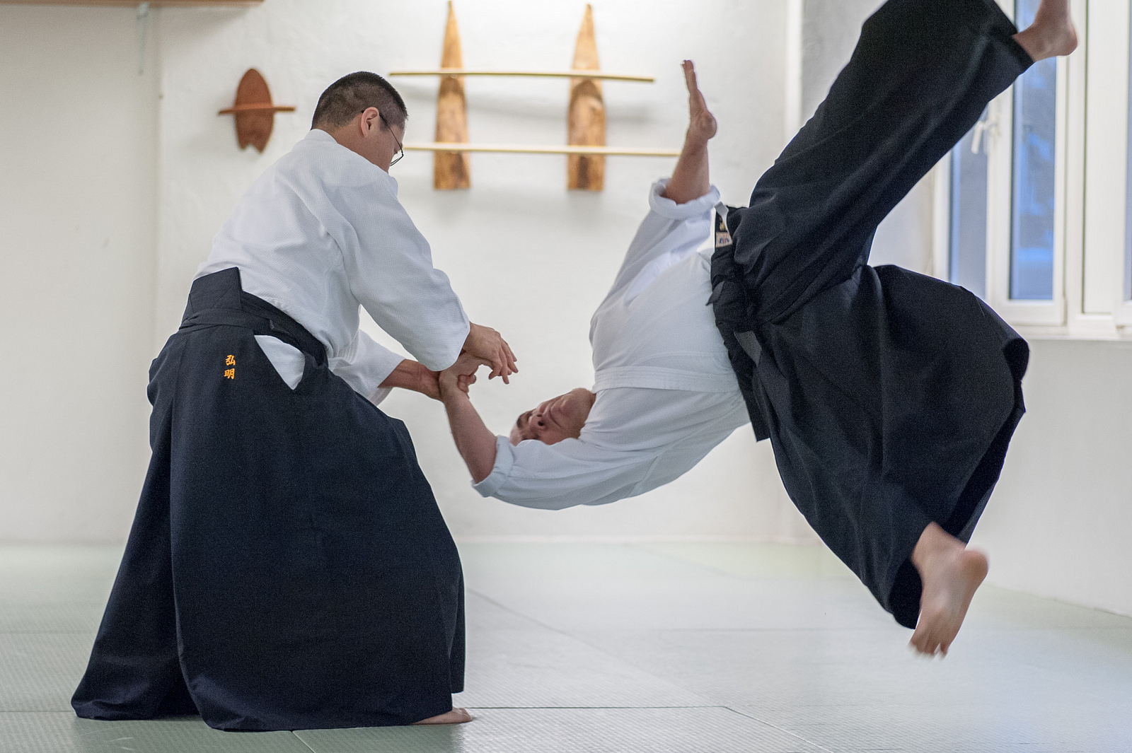 Detail Gambar Aikido Nomer 15