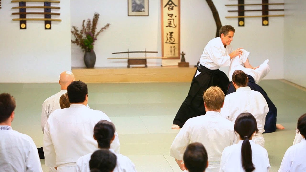 Detail Gambar Aikido Nomer 18