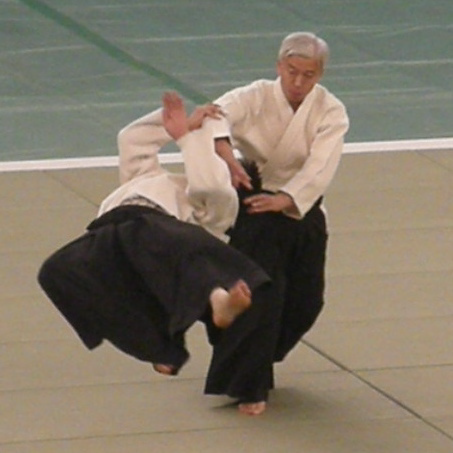 Detail Gambar Aikido Nomer 41