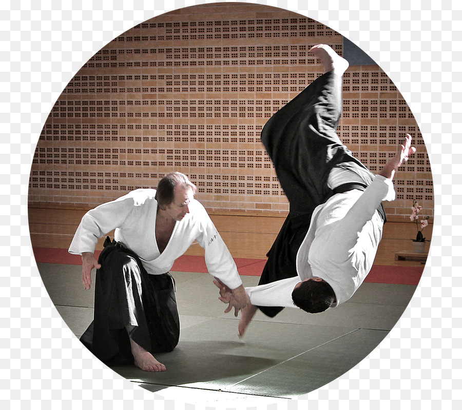 Detail Gambar Aikido Nomer 46