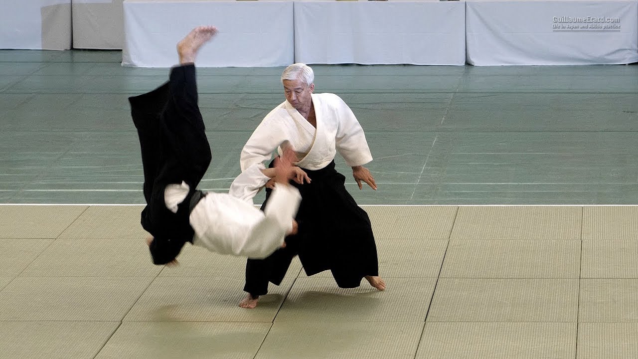 Detail Gambar Aikido Nomer 50