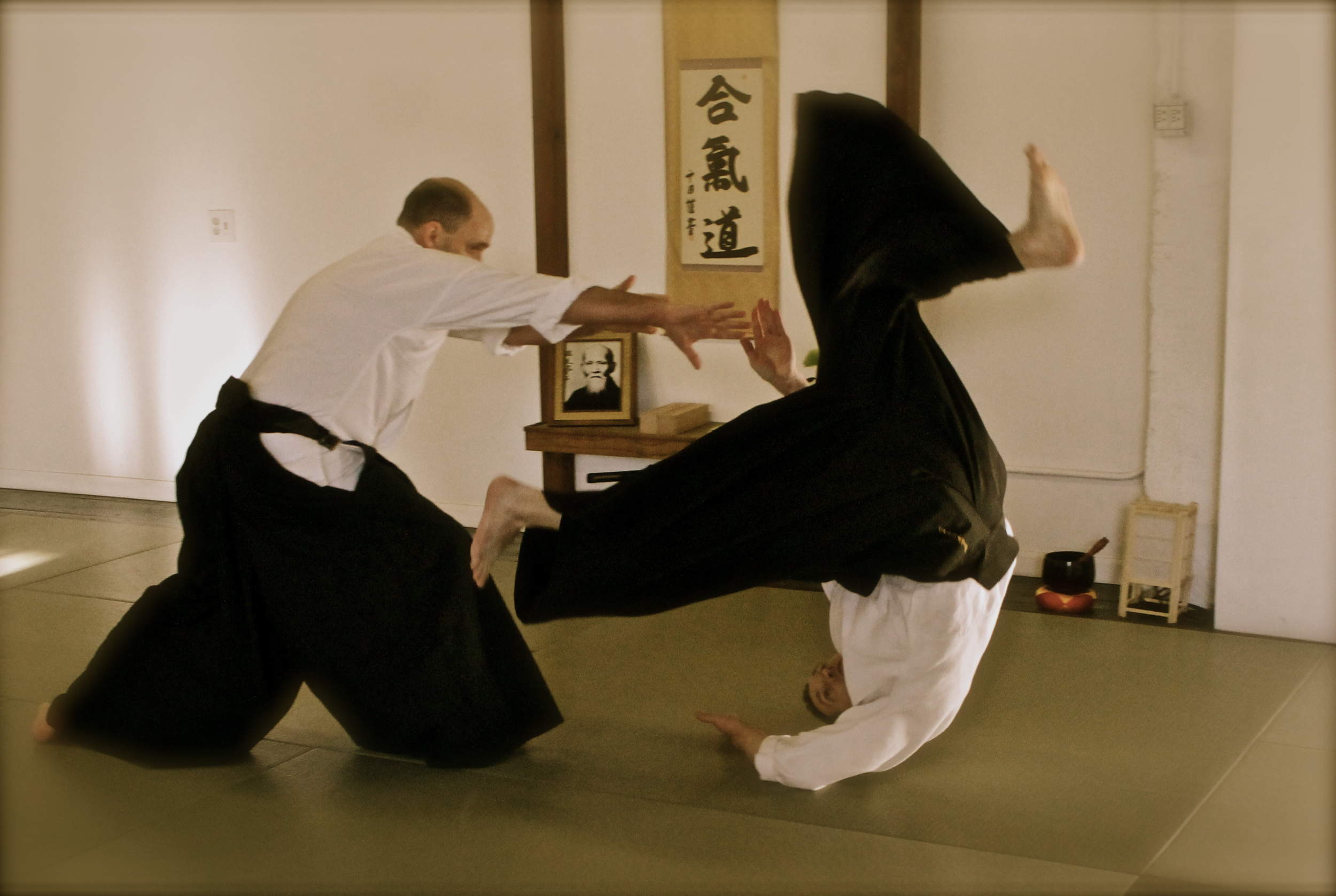 Detail Gambar Aikido Nomer 54