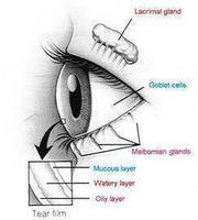 Detail Gambar Air Mata Bergerak Nomer 52