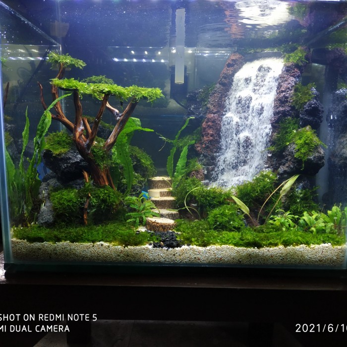 Detail Gambar Air Terjun Aquascape Nomer 21