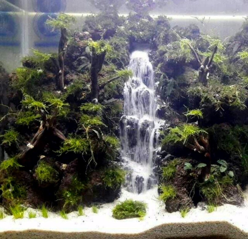 Detail Gambar Air Terjun Aquascape Nomer 30