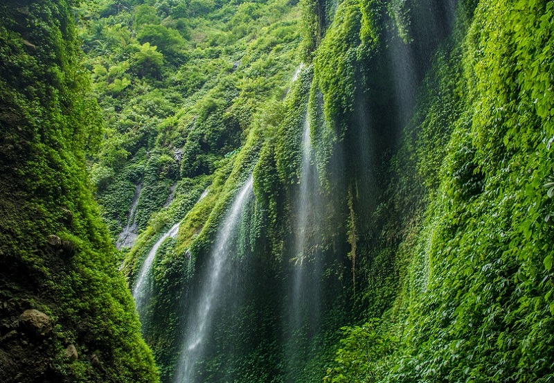 Detail Gambar Air Terjun Di Indonesia Nomer 43