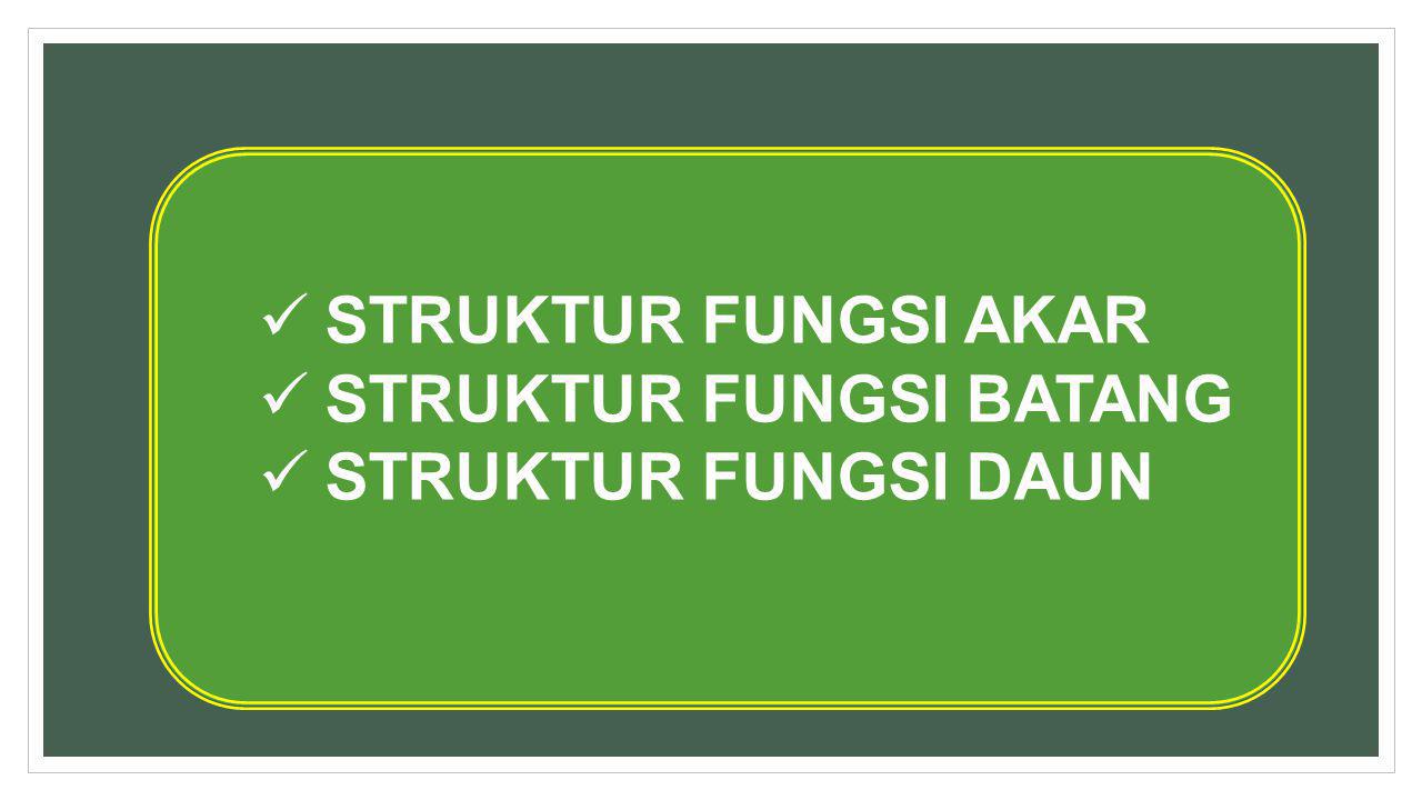 Detail Gambar Akar Batang Dan Daun Gambar Akar Dan Morfologi Akar Nomer 34