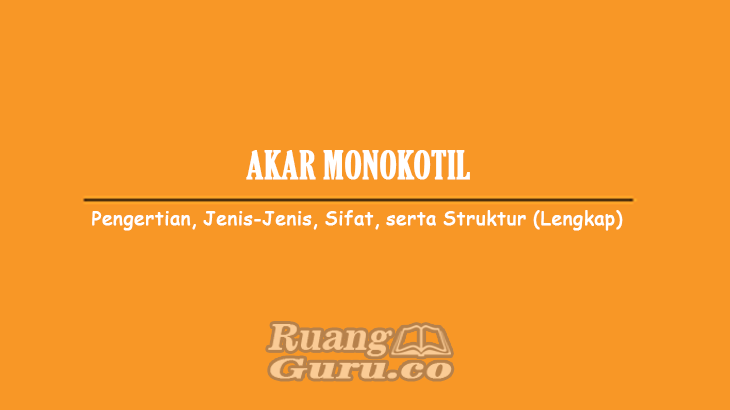 Detail Gambar Akar Monokotil Nomer 36