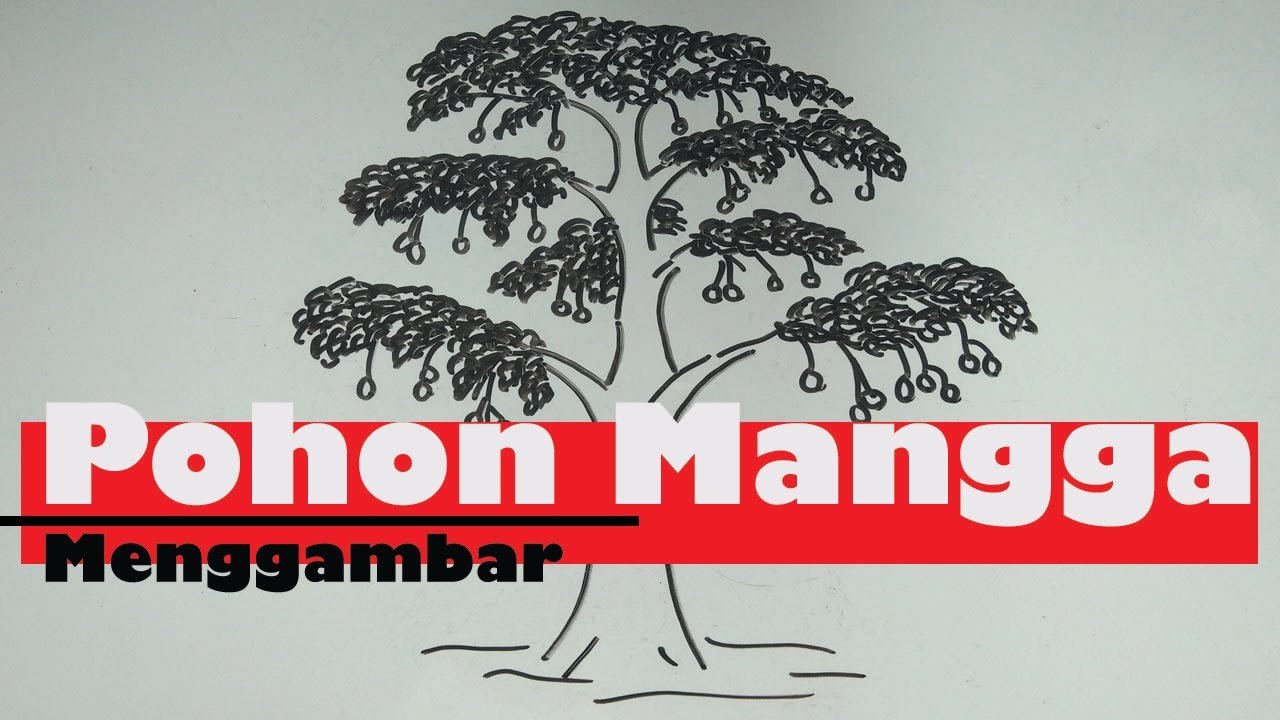 Detail Gambar Akar Tanaman Mangga Nomer 36