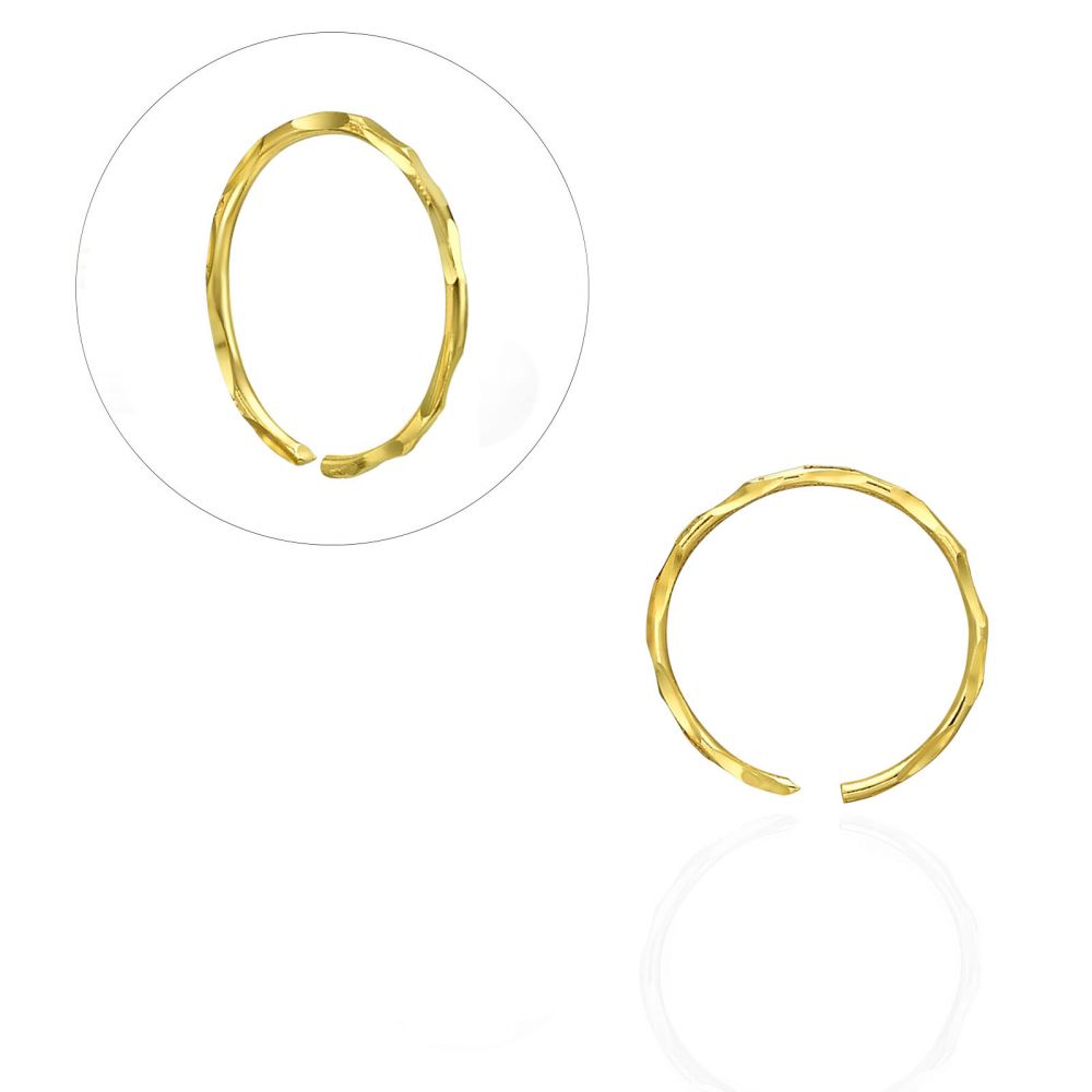Detail Helix Tragus Nomer 10