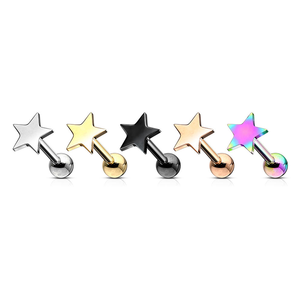 Detail Helix Tragus Nomer 11