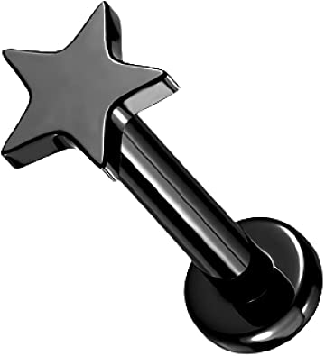 Detail Helix Tragus Nomer 13
