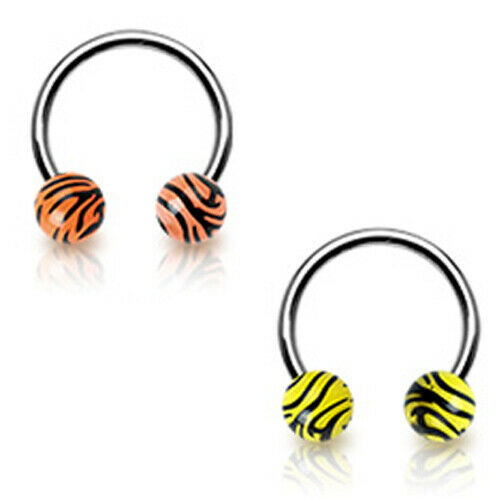 Detail Helix Tragus Nomer 22