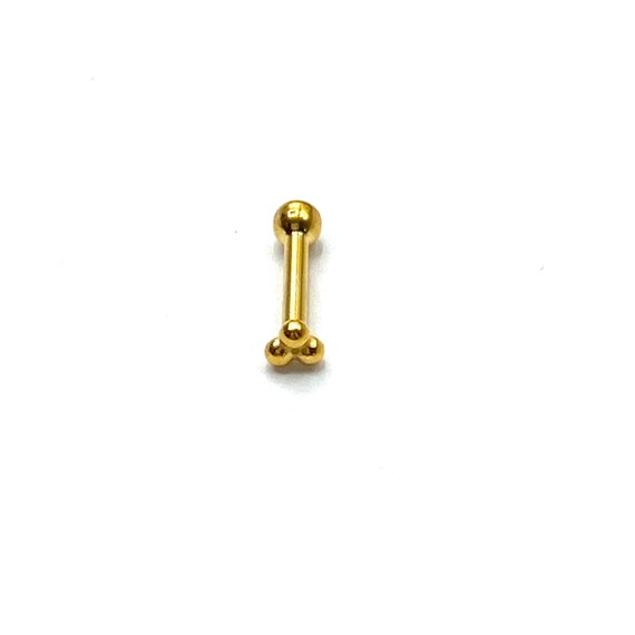 Detail Helix Tragus Nomer 24