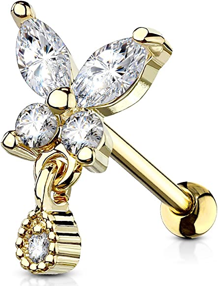 Detail Helix Tragus Nomer 25