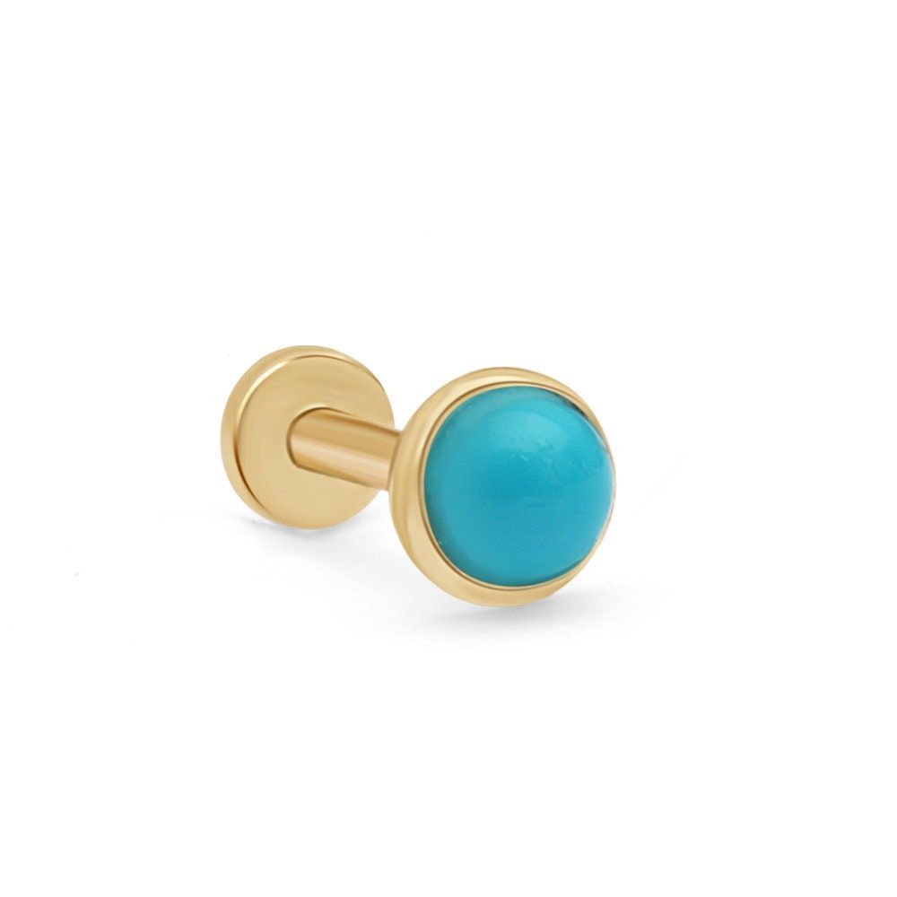Detail Helix Tragus Nomer 28