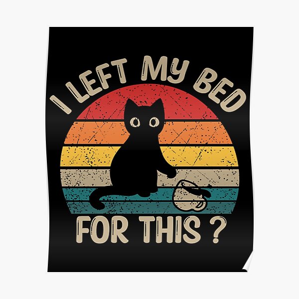 Katze Im Bett Lustig 23+ Koleksi Gambar