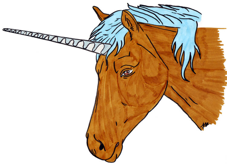 Detail Pferde Kopf Zeichnen Nomer 21