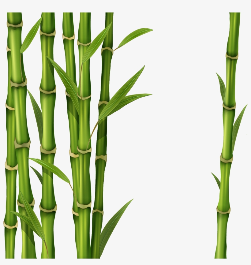 Detail Bamboo Background Nomer 8