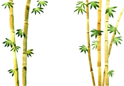 Detail Bamboo Background Nomer 14