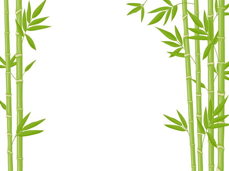 Detail Bamboo Background Nomer 4