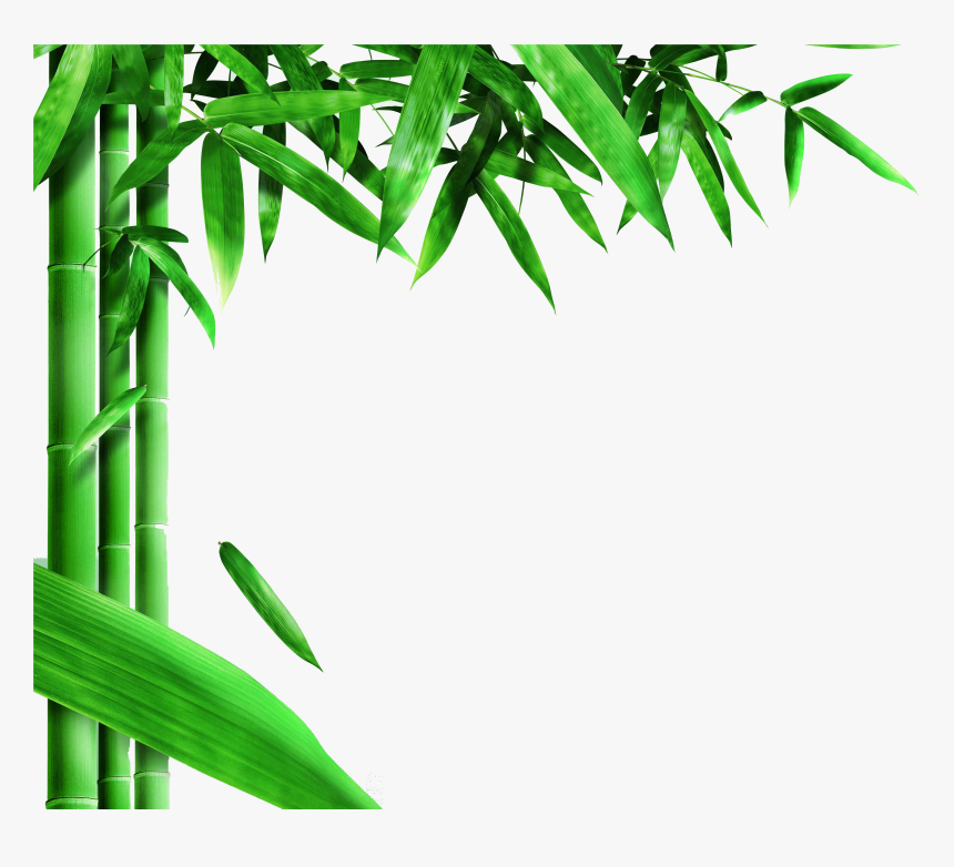 Detail Bamboo Background Nomer 5