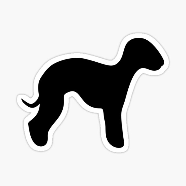 Detail Bedlington Terrier Welpen Nomer 3