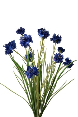 Detail Blaue Wiesenblume Nomer 4