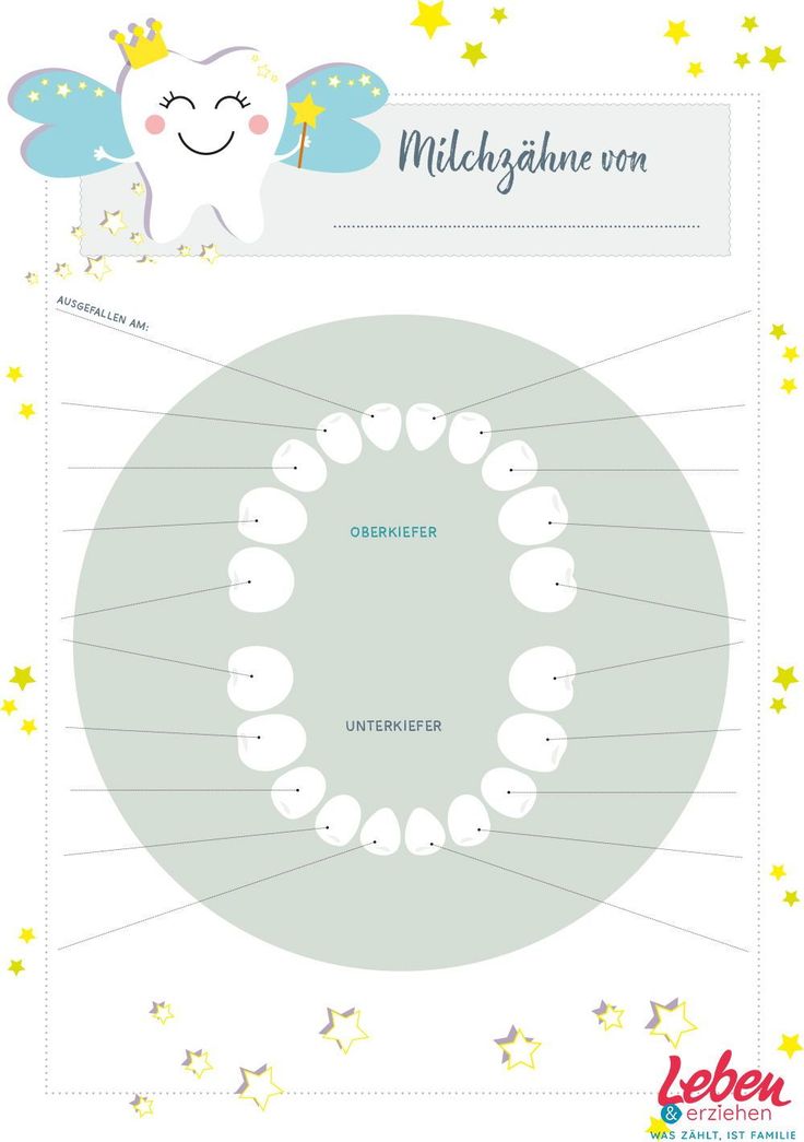 Detail Brief Von Der Zahnfee Ausdrucken Nomer 2