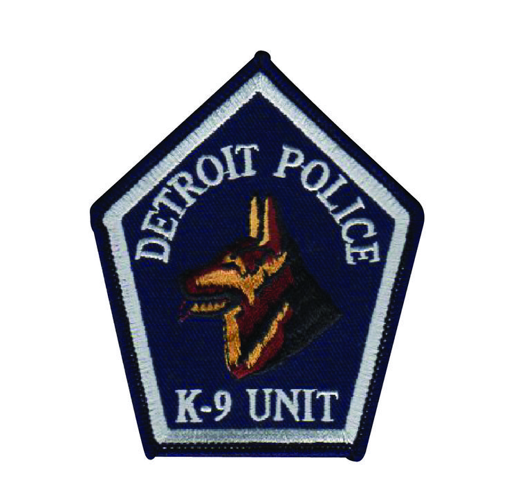 Detail Detroit Police Detective Badge Nomer 21