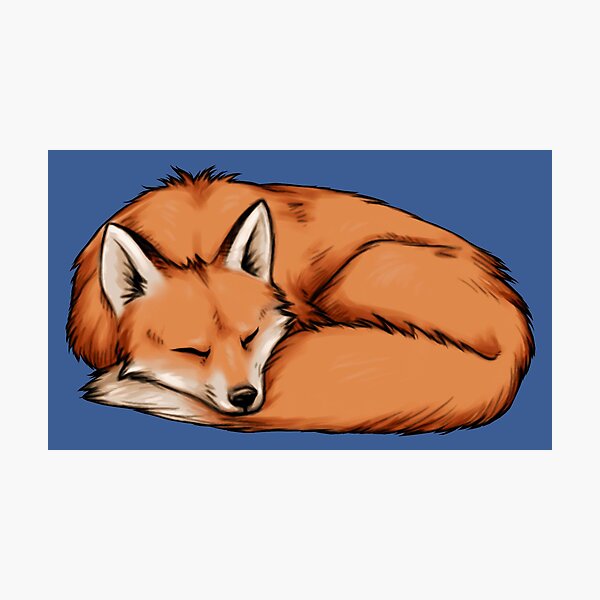 Detail Fuchs Lachen Nomer 12
