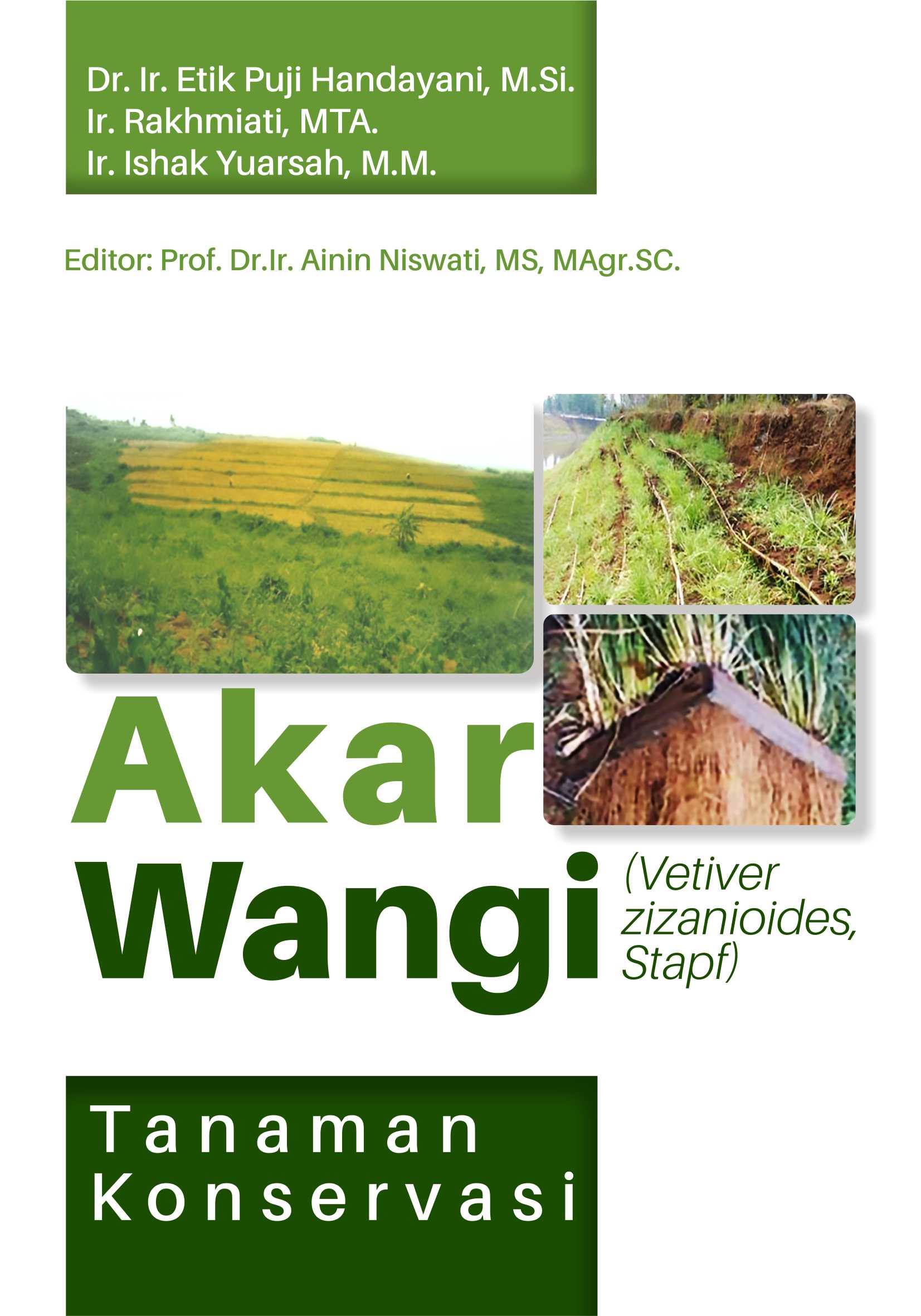 Detail Gambar Akar Wangi Nomer 36