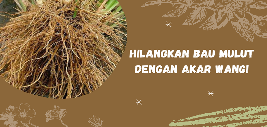 Detail Gambar Akar Wangi Nomer 40