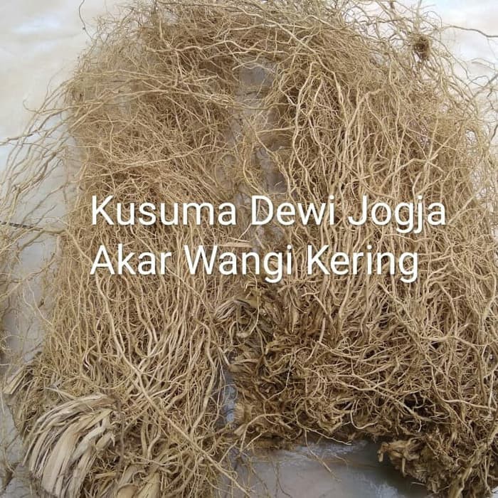 Detail Gambar Akar Wangi Nomer 45