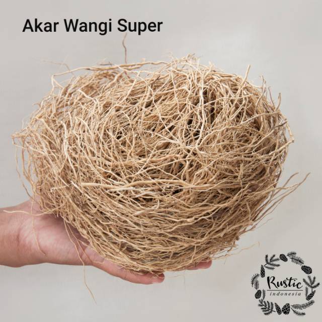 Detail Gambar Akar Wangi Nomer 50