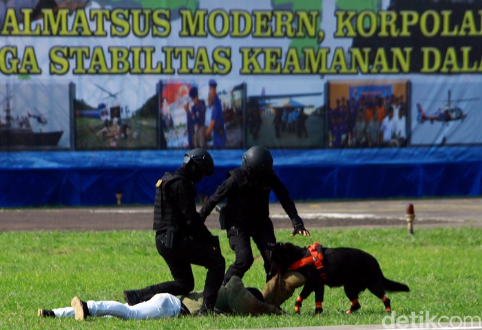 Detail Gambar Aksi Polisi Udara Nomer 12