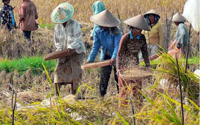 Detail Gambar Aktivitas Di Bidang Jasa Nomer 46