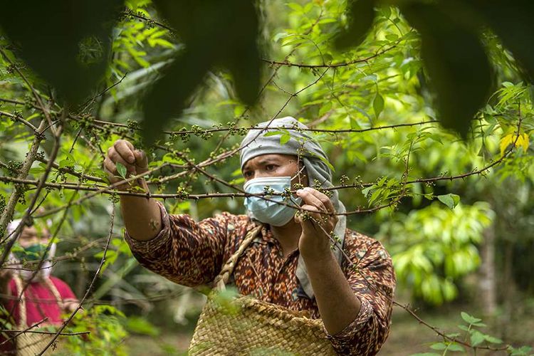 Detail Gambar Aktivitas Di Bidang Peternakan Nomer 42