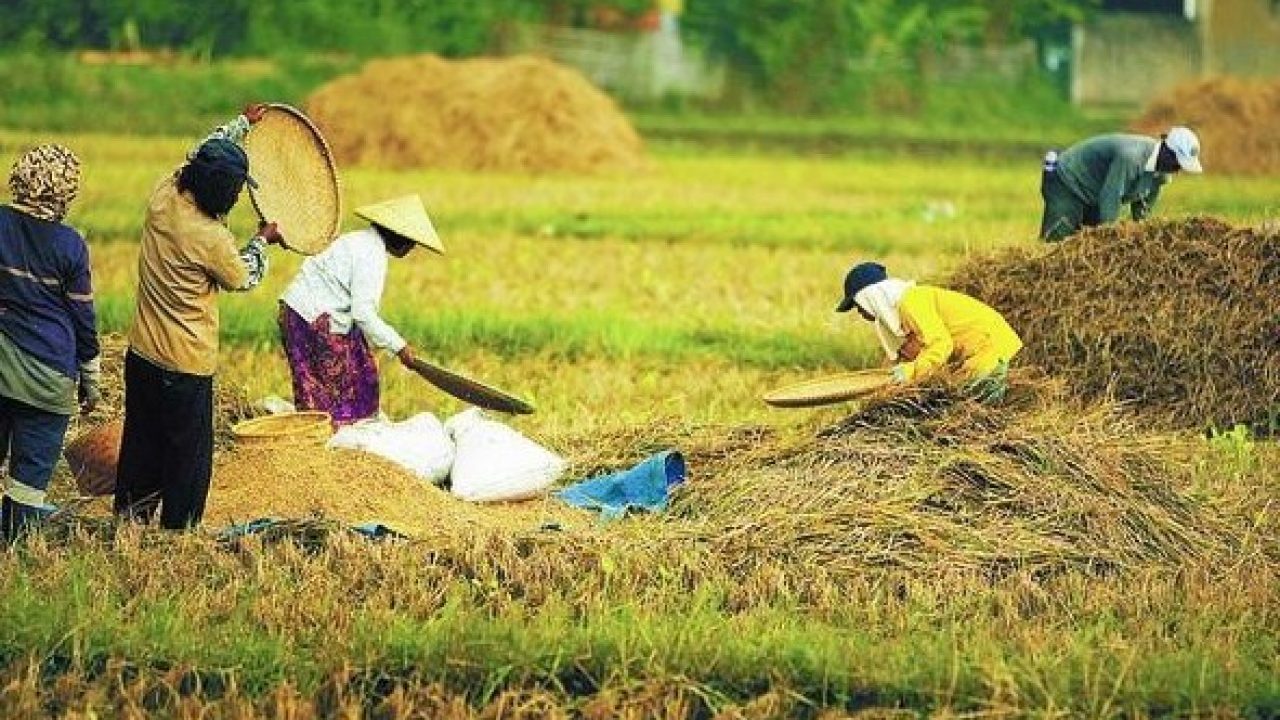 Gambar Aktivitas Di Daerah Pegunungan Pantai Dataran Tinggi Dan Rendah - KibrisPDR