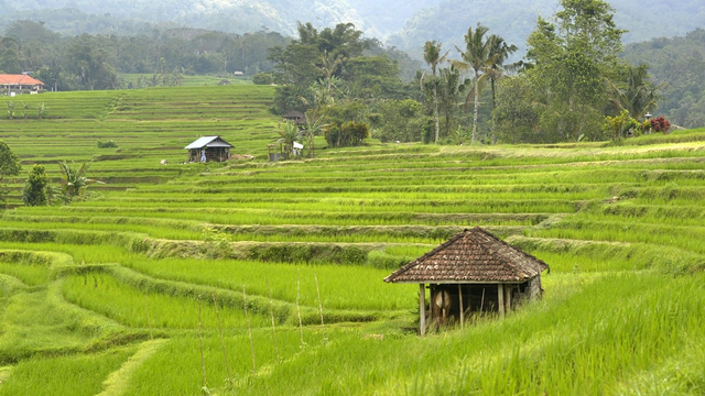 Detail Gambar Aktivitas Penduduk Indonesia Nomer 5