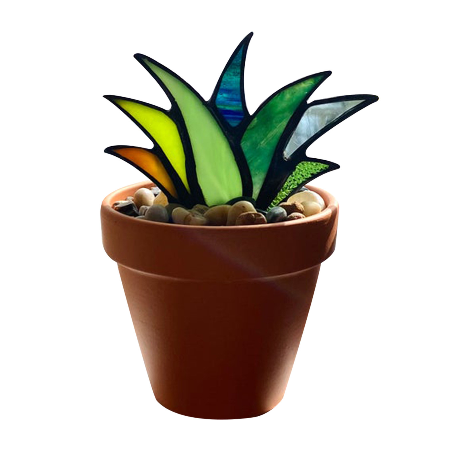 Detail Agave Aloe Vera Nomer 16