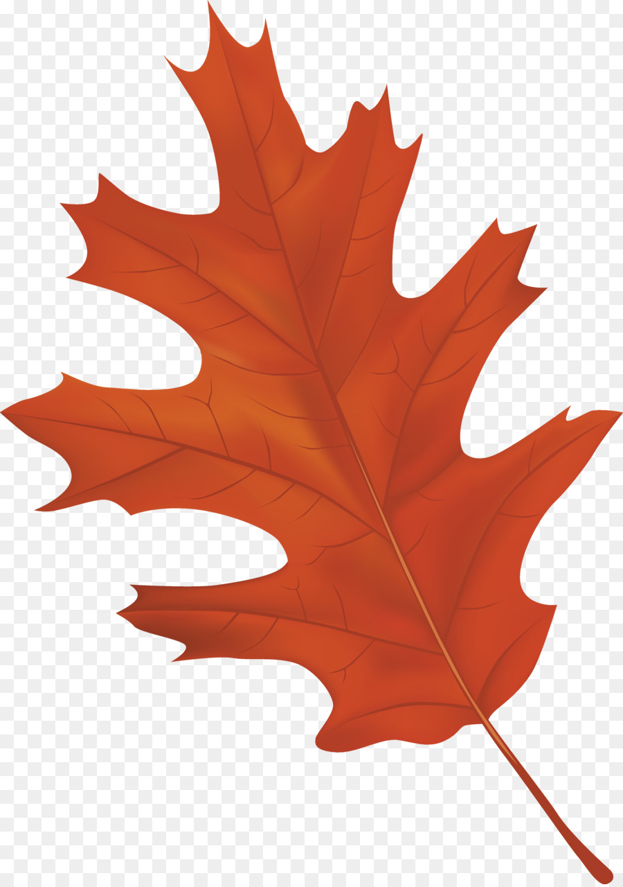 Detail Blatt Herbst Clipart Nomer 14