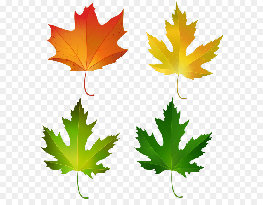 Detail Blatt Herbst Clipart Nomer 23