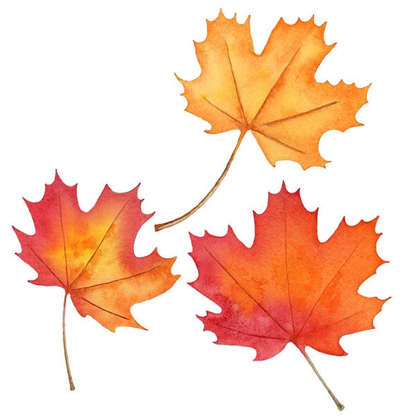 Detail Blatt Herbst Clipart Nomer 3