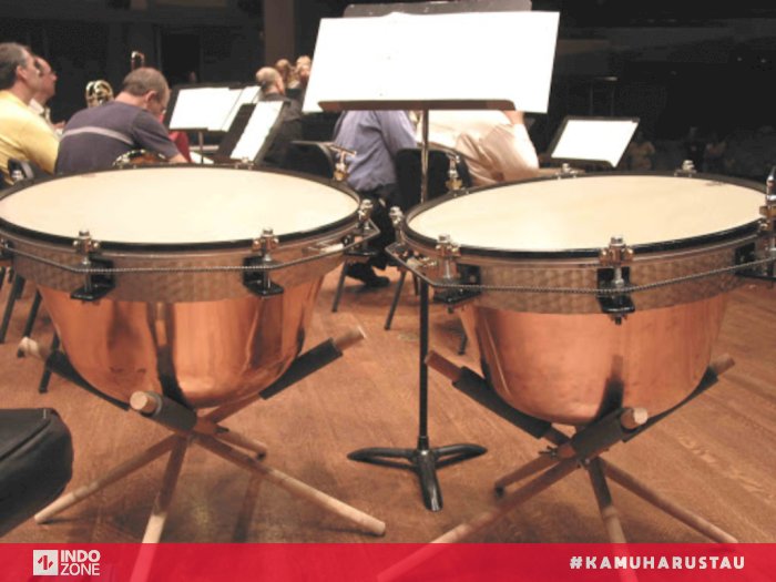 Detail Gambar Alat Alat Musik Ritmis Nomer 26