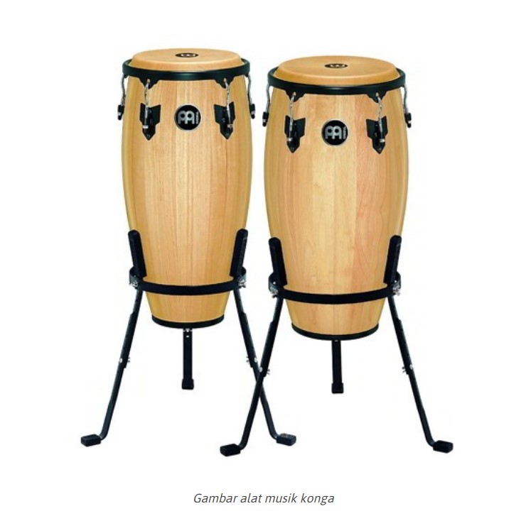 Detail Gambar Alat Alat Musik Ritmis Nomer 55