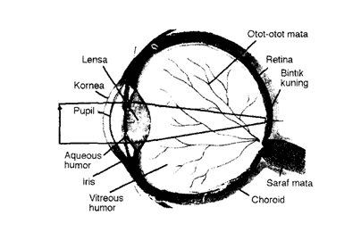 Detail Gambar Alat Alat Optik Nomer 21